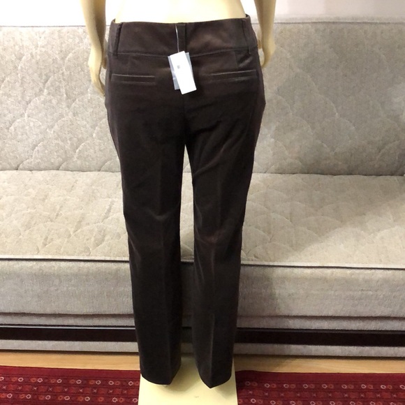 🌺🌺 TWO NWT ANN TAYLOR VELVET PANTS SIZE 8 - Picture 7 of 16